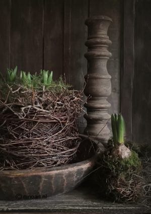 Decobordje nest met hyacinten | Benard's Woonaccessoires | Haal het voorjaar in huis
