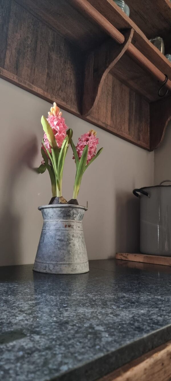Bloeiende Hyacint | Benard's Woonaccessoires | Voorjaars-decoratie