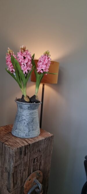 Bloeiende Hyacint | Benard's Woonaccessoires | Voorjaars-decoratie